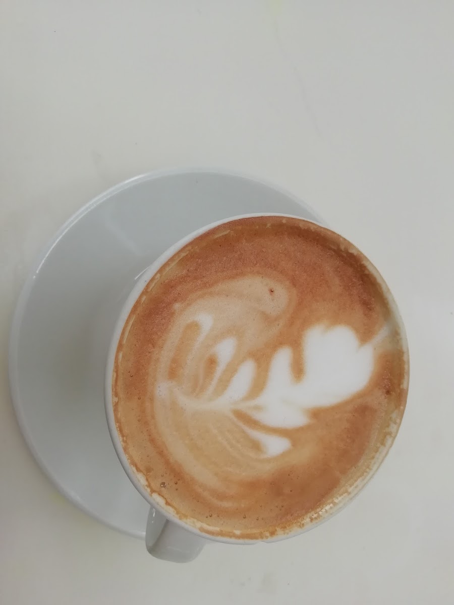 Cattle Baron @ Skukuza Camp-5